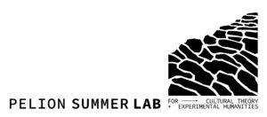 Pelion Summer Lab Logo